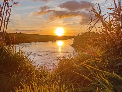 Soholmer-Au-Kanal (Soholm)
