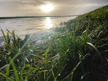 Soholmer-Au-Kanal (Soholm)