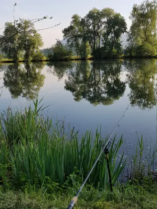 Kreuthsee (Kiefersfelden)
