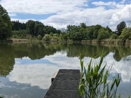 Widdersberger Weiher