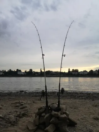 Rhein (Königswinter)