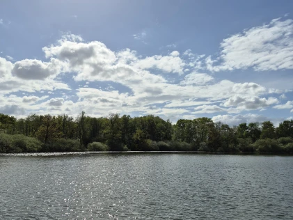 Poggensee (Bad Oldesloe)