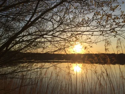 Badesee Walldorf