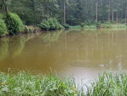Spanierteich