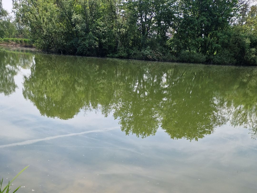 49+ Angler Teich, Alle forellenseen in deutschland interaktive karte