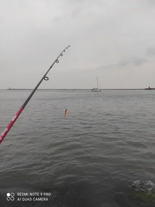 Seaport Marina (Ijmuiden)