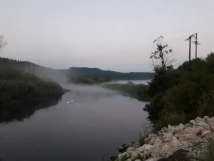 Donau (Immendingen)