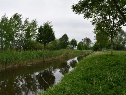 Aller (Vorsfelde)