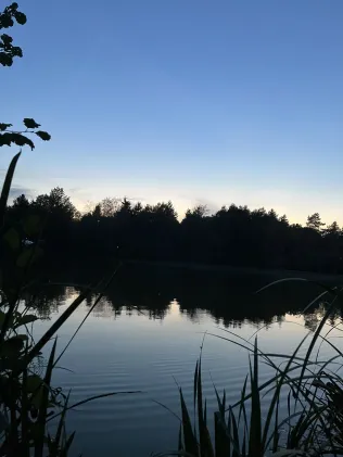 Center Parcs Bispinger Heide