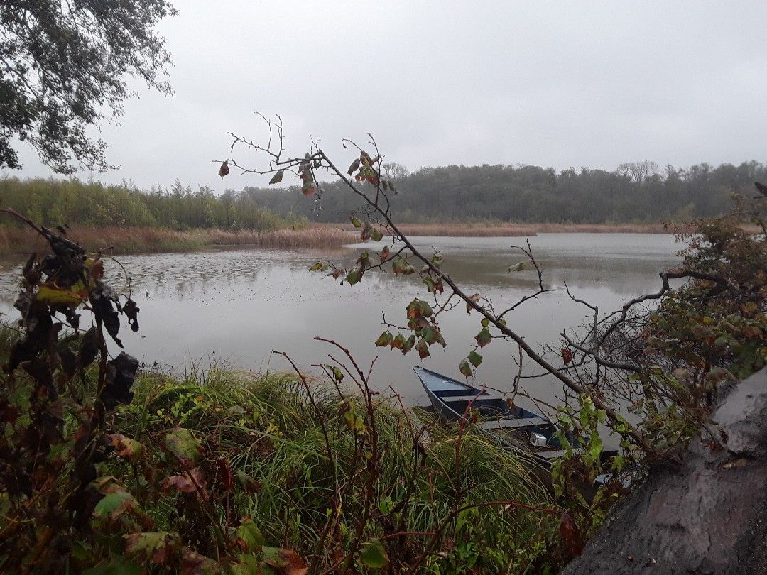 Görner See angeln