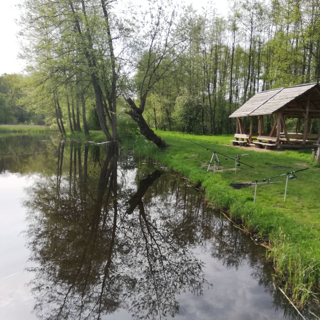 Unterer Voigtsdorfer Teich angeln