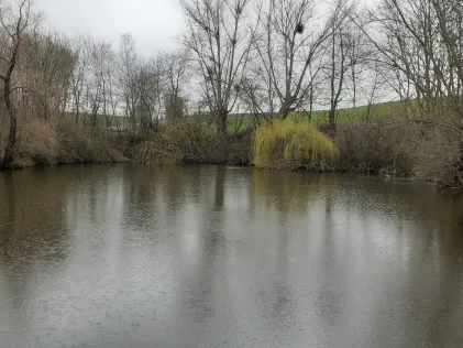 Teich Seinstedt