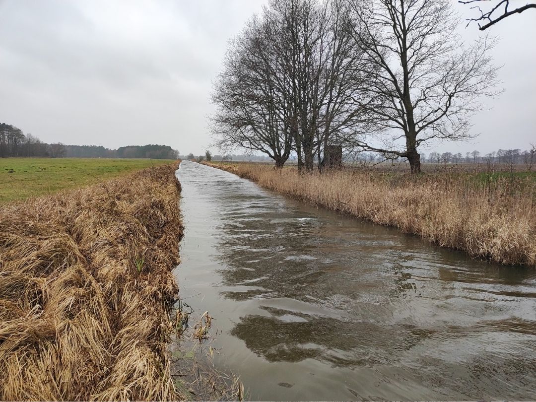 Angeln in Bresegard bei Eldena