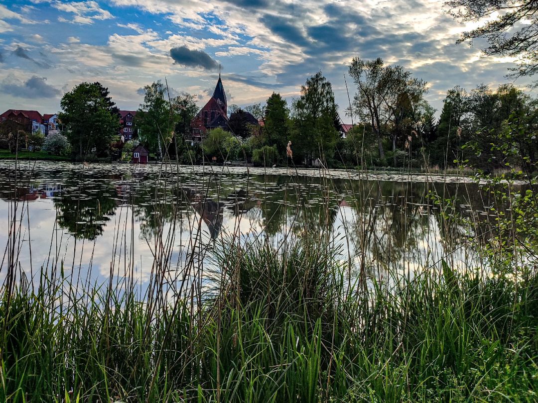 Burgsee (Gadebusch) angeln