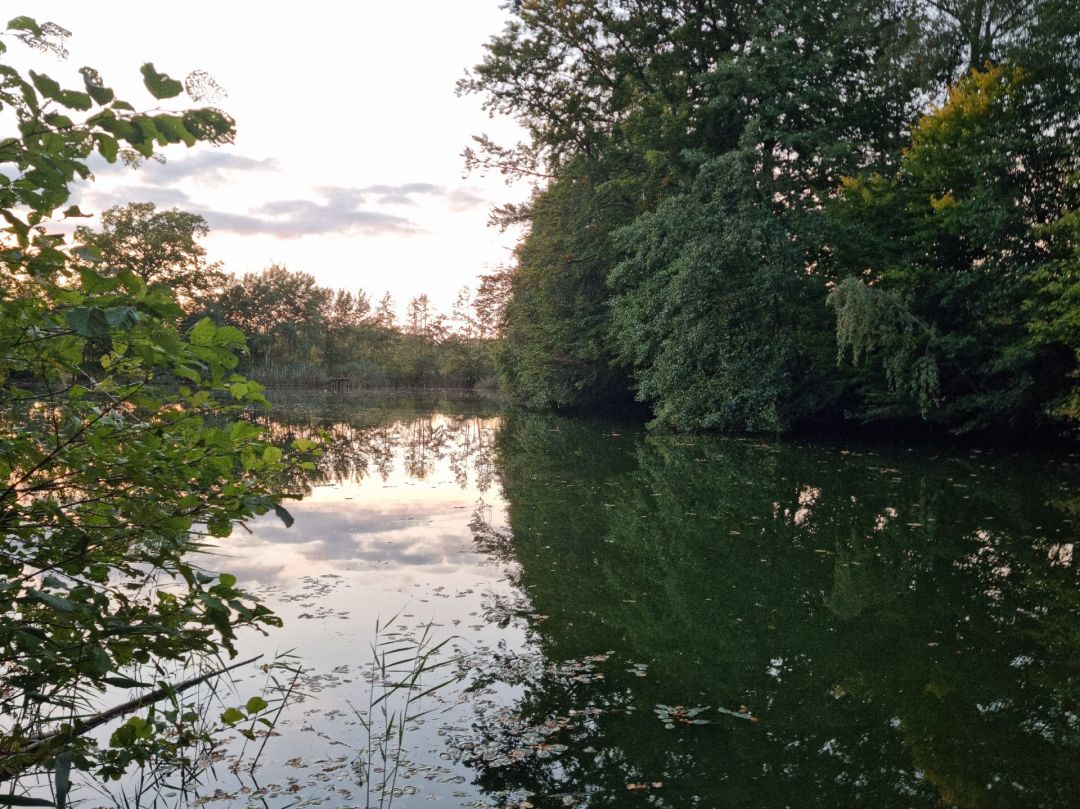 Krüzener See angeln