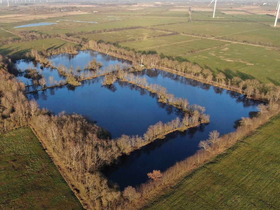 Goldmoor (Löwenstedt) angeln