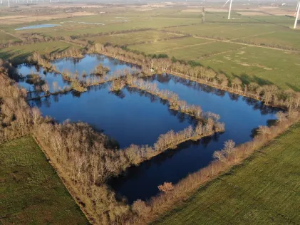 Goldmoor (Löwenstedt)