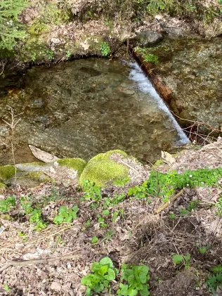 Weiße Schwarza (Schwarzatal)