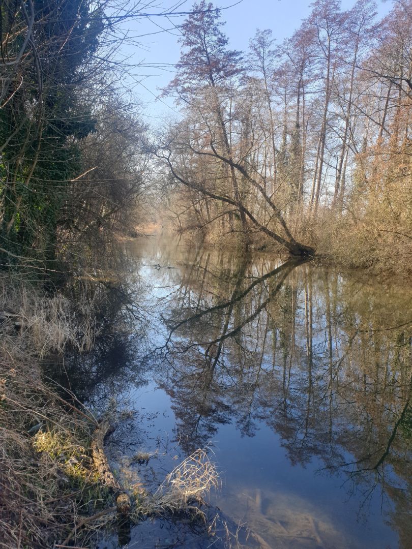 Elstermühlgraben (Zeitz) angeln