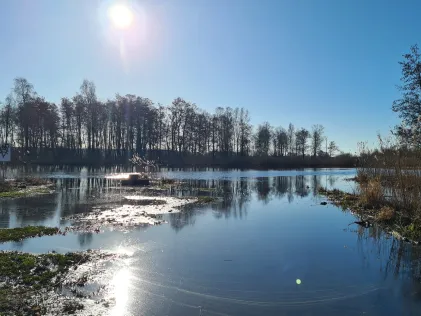 Peene (Trissow)