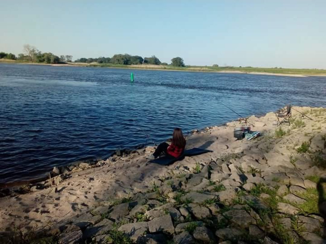 Elbe (Arneburg) angeln