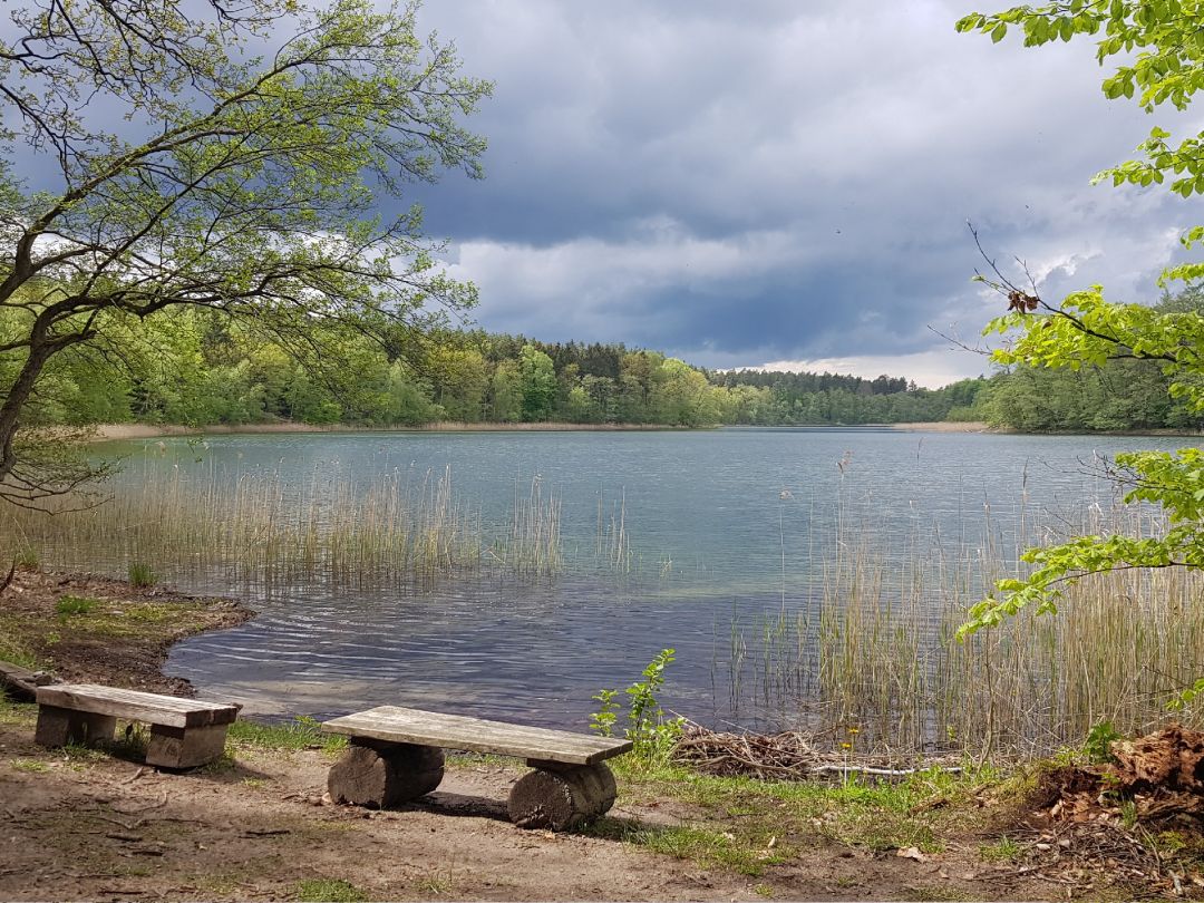 Angeln in Temmen-Ringenwalde