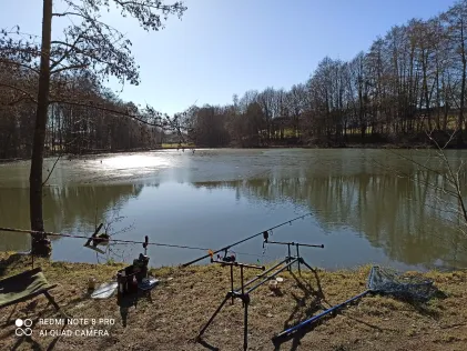 Gemeindeweiher Oberirsen