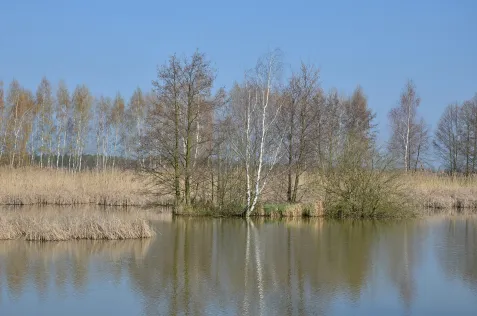 Torfstich Koßwig