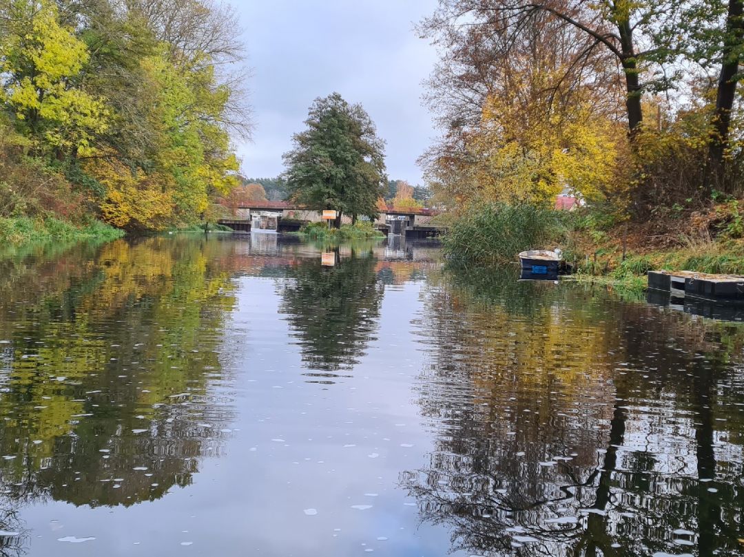 Malzer Kanal (Friedrichsthal) angeln