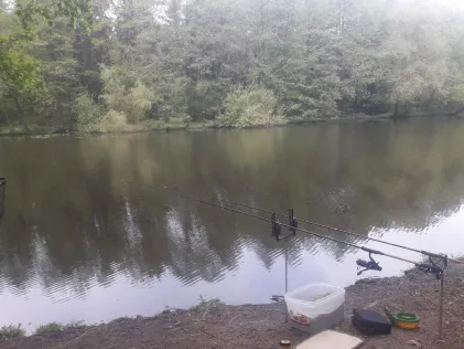 Dalbker Teich