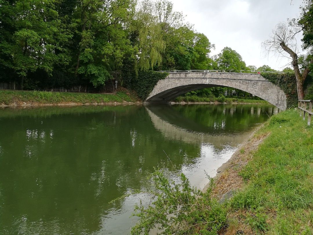 Mittlerer Isarkanal (Oberföhring) angeln