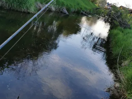Bernauer Ache
