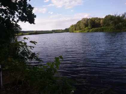 Mulde (Nerchau)