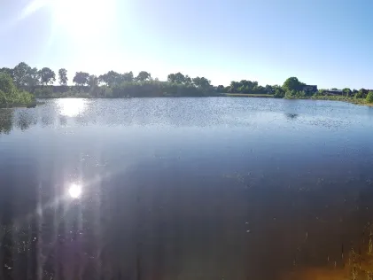 Rückhaltebecken Sandhorst