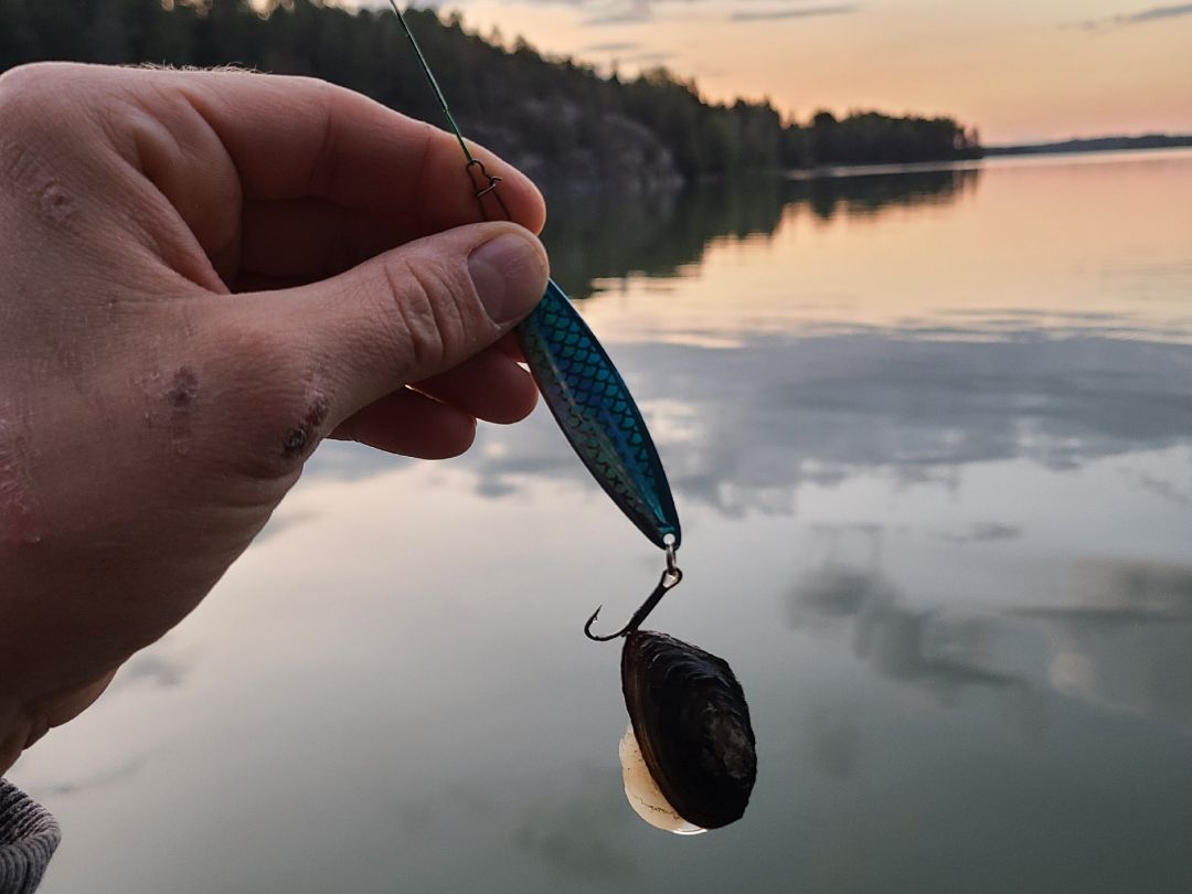 Tuusulanjärvi angeln