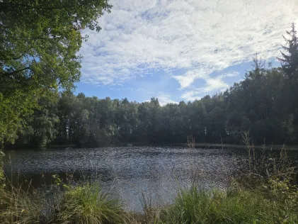 Waldsee (Retschow)