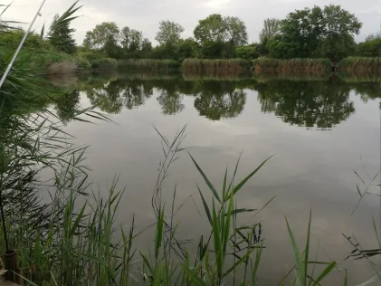 Tagebau Westeregeln