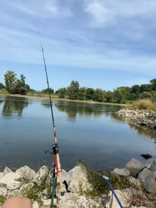 Donau (Niederalteich)