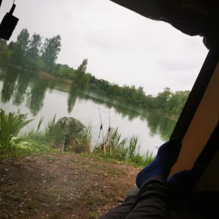 Stadtweiher Landau
