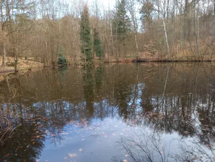 Sauweiher (St. Ingbert)