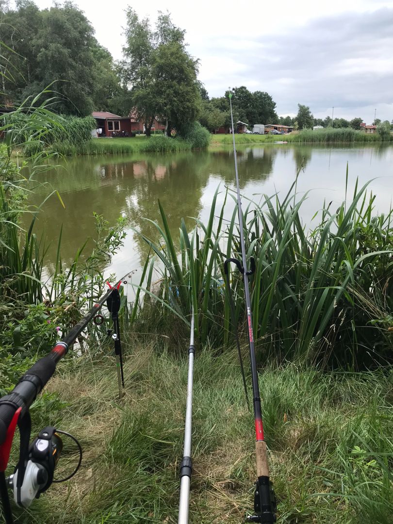 Birkensee (Detern) angeln