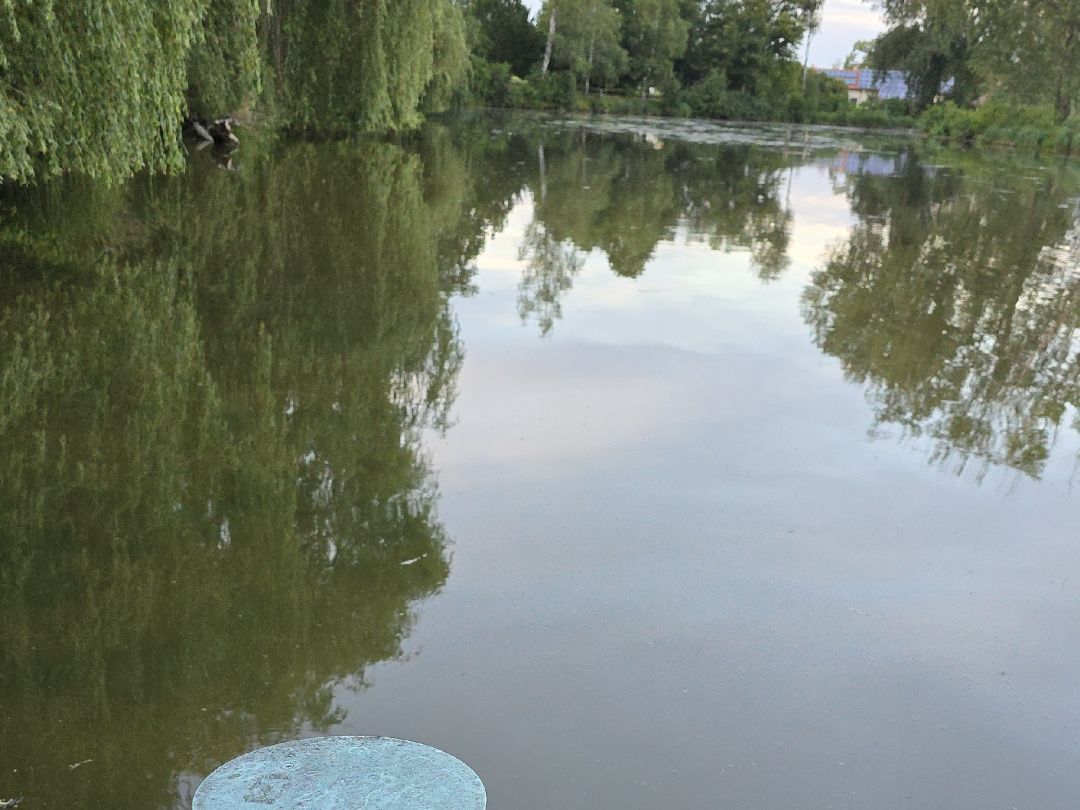 BZ-Weiher (Steinhöring) angeln