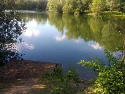 Fichtensee (Löhne)