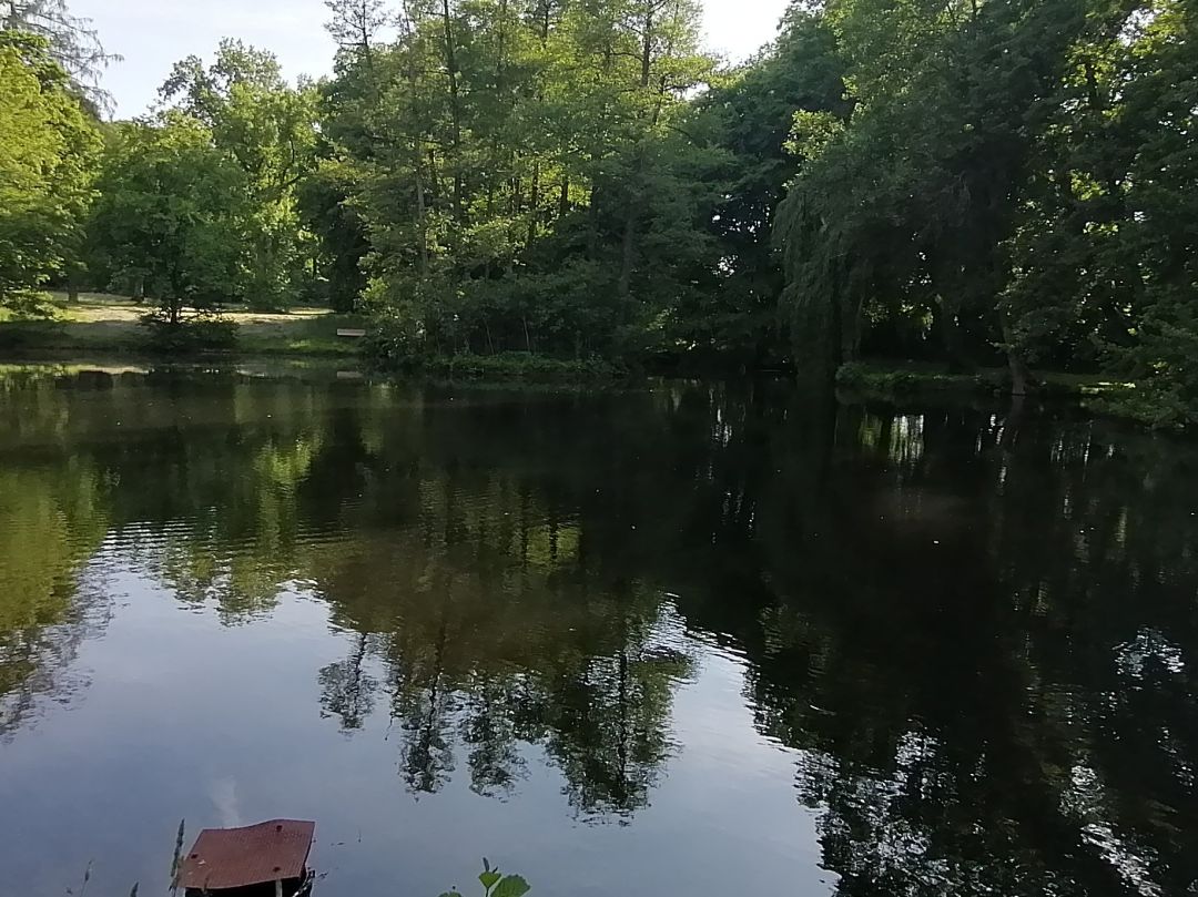 Schloß Kropstädt angeln
