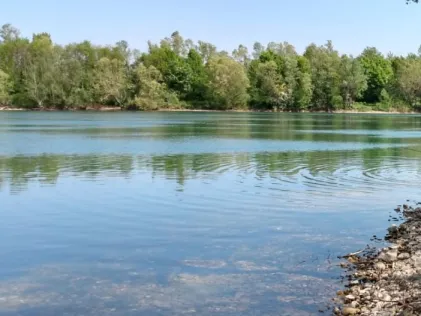 Ellerdonksee