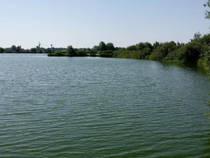Großer Schwanensee (Rechtenfleth)