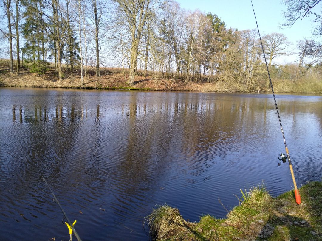 Pumpelteich (Walsrode) angeln