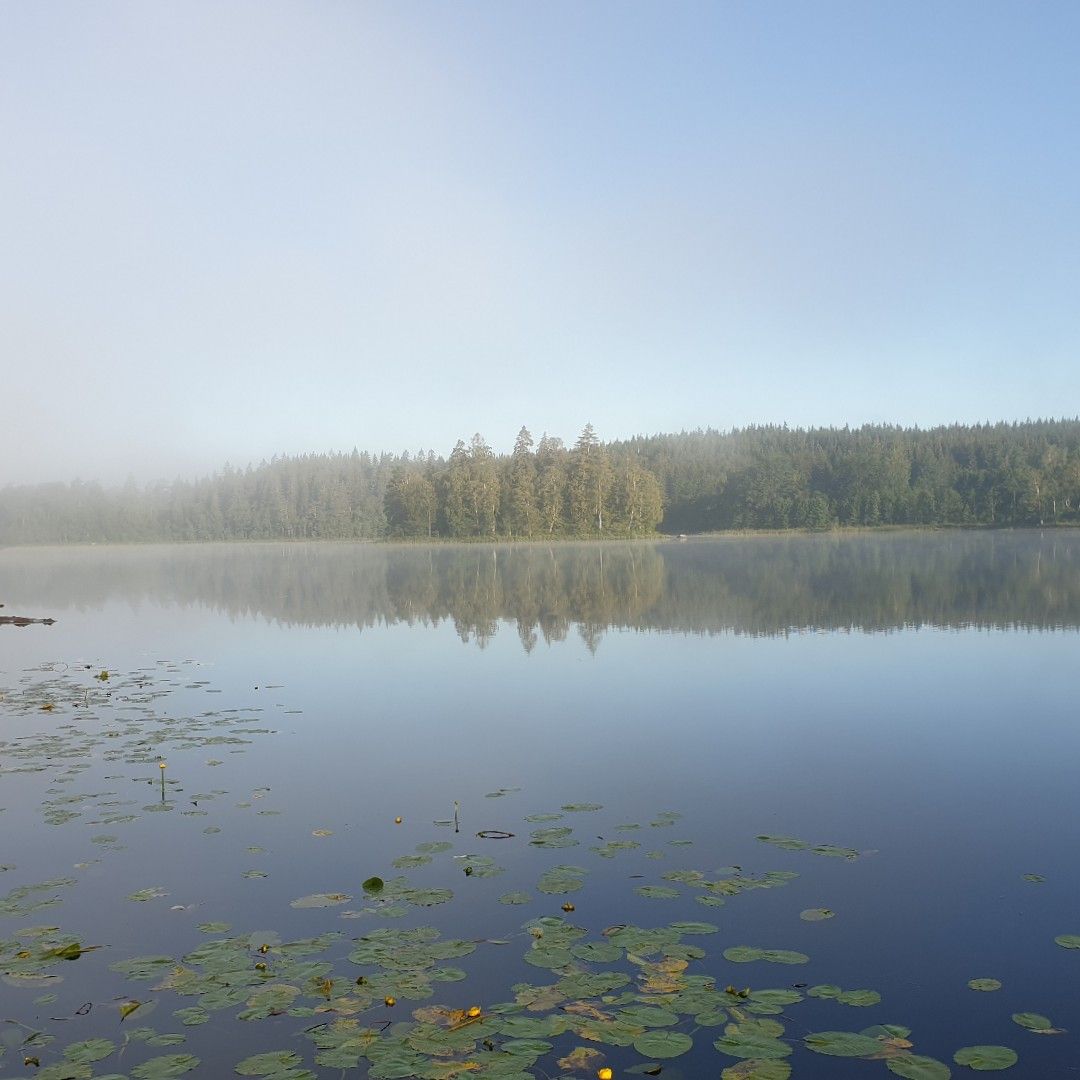 Lönern angeln