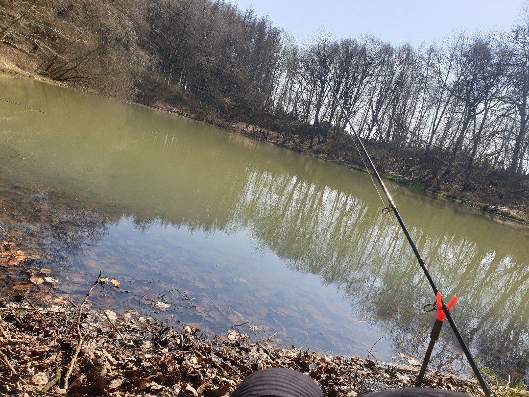 Brinkenweiher (Staudt) angeln