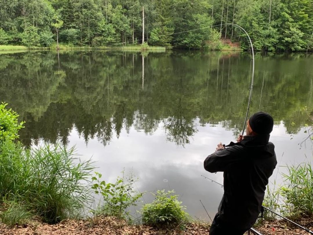 Erichsburger Teich angeln